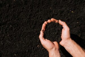 Types of Soils and their Distinctive Properties