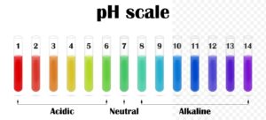 pH Levels Scale 