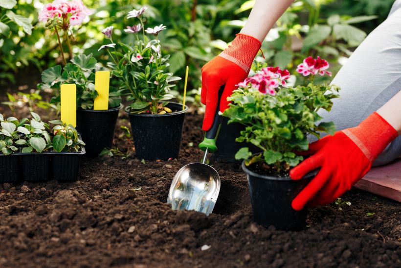 Preparing soil in Garden